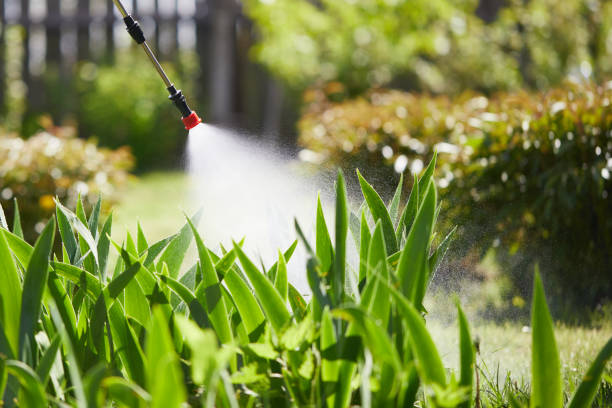 Tamper-Resistant Bait Stations for Rodents in Alorton
