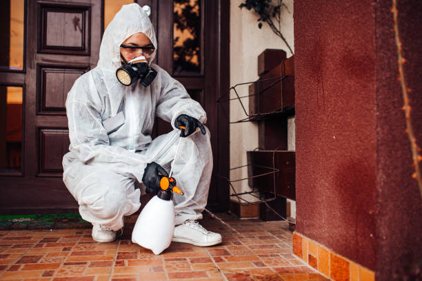 Attic and Crawl Space Rodent Treatment in Alorton