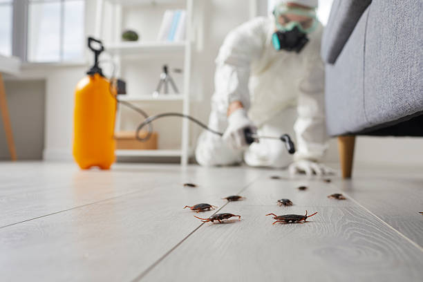 Commercial Rodent Management in Alorton